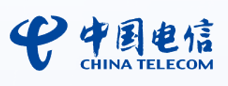 中国电信国际有限公司 Logo